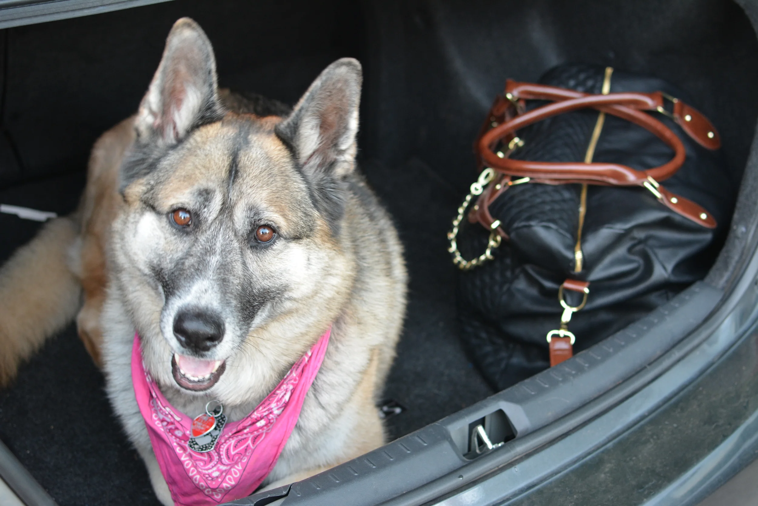 Sprinkles Of My Life