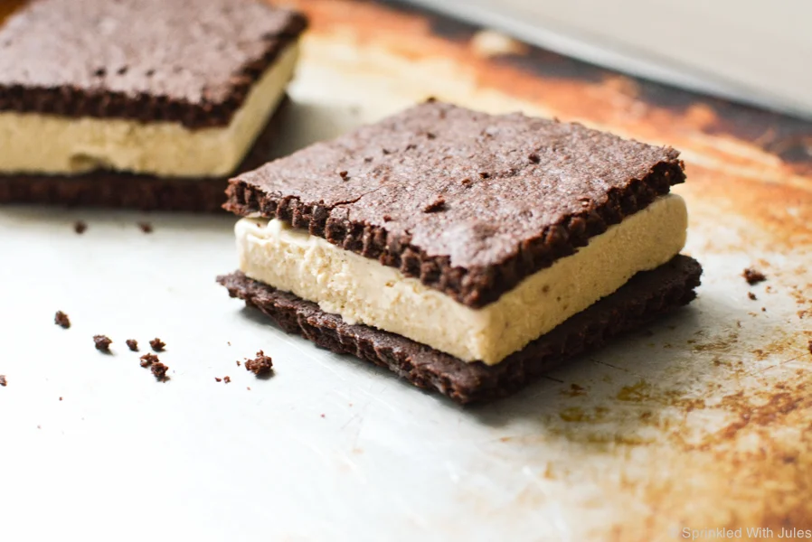 S'mores Ice Cream Sandwiches