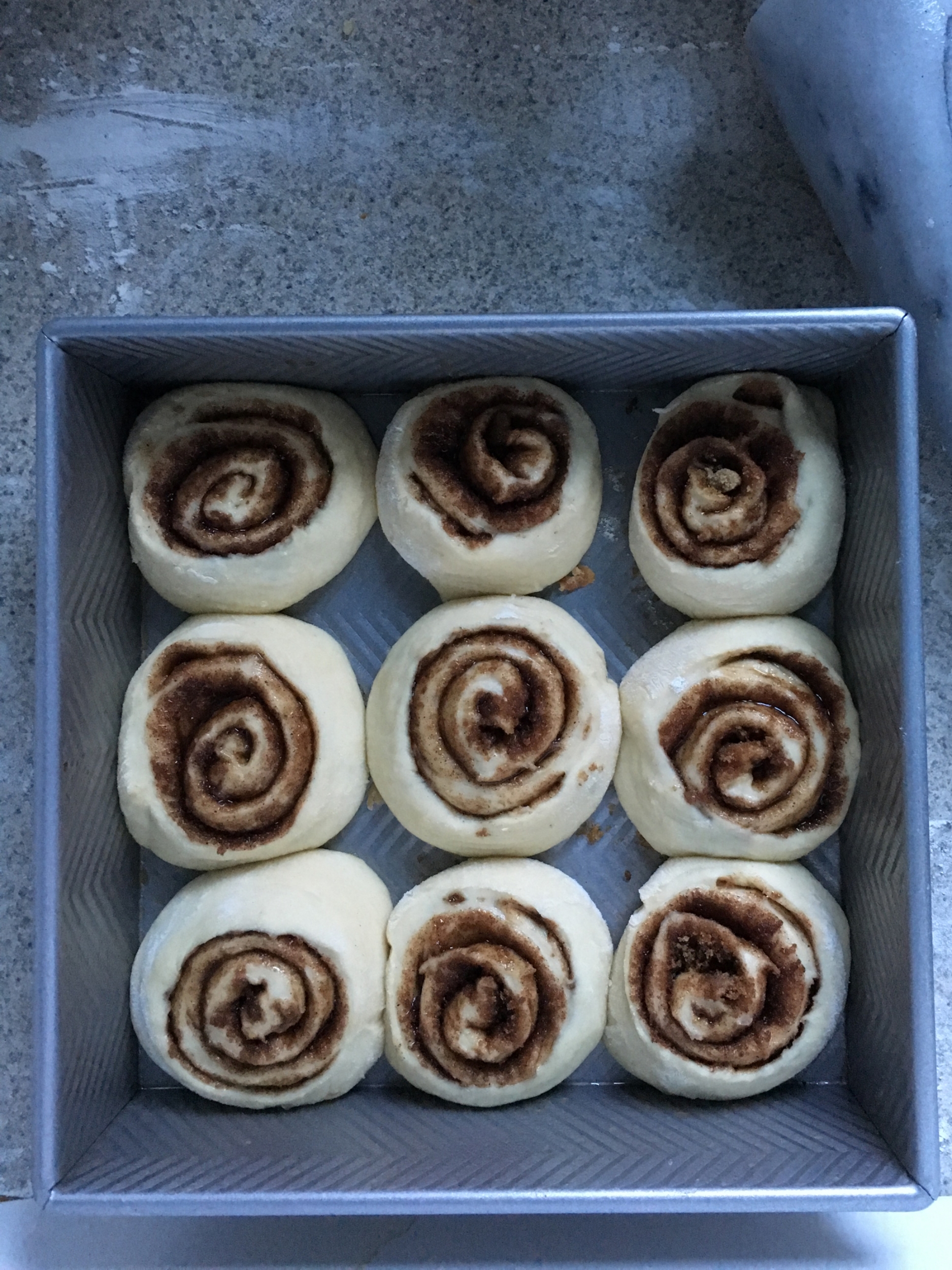 Vegan 1-Hour Cinnamon Rolls