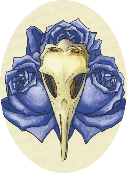 raven_skull_image.jpg