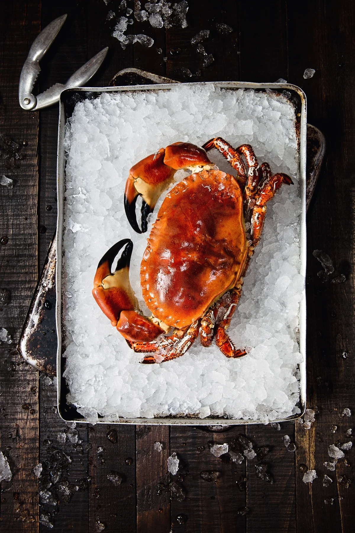 Crab on Ice