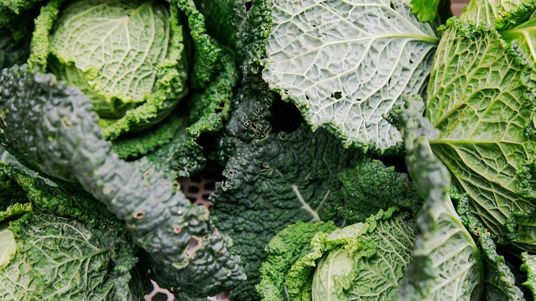 ITALY 2024

For those that are interested...my camera bag has been taken. All of my gear that I travel with is gone - it feels so violating to know that my primary camera that has taken literally hundreds of thousands of images is now in someone else