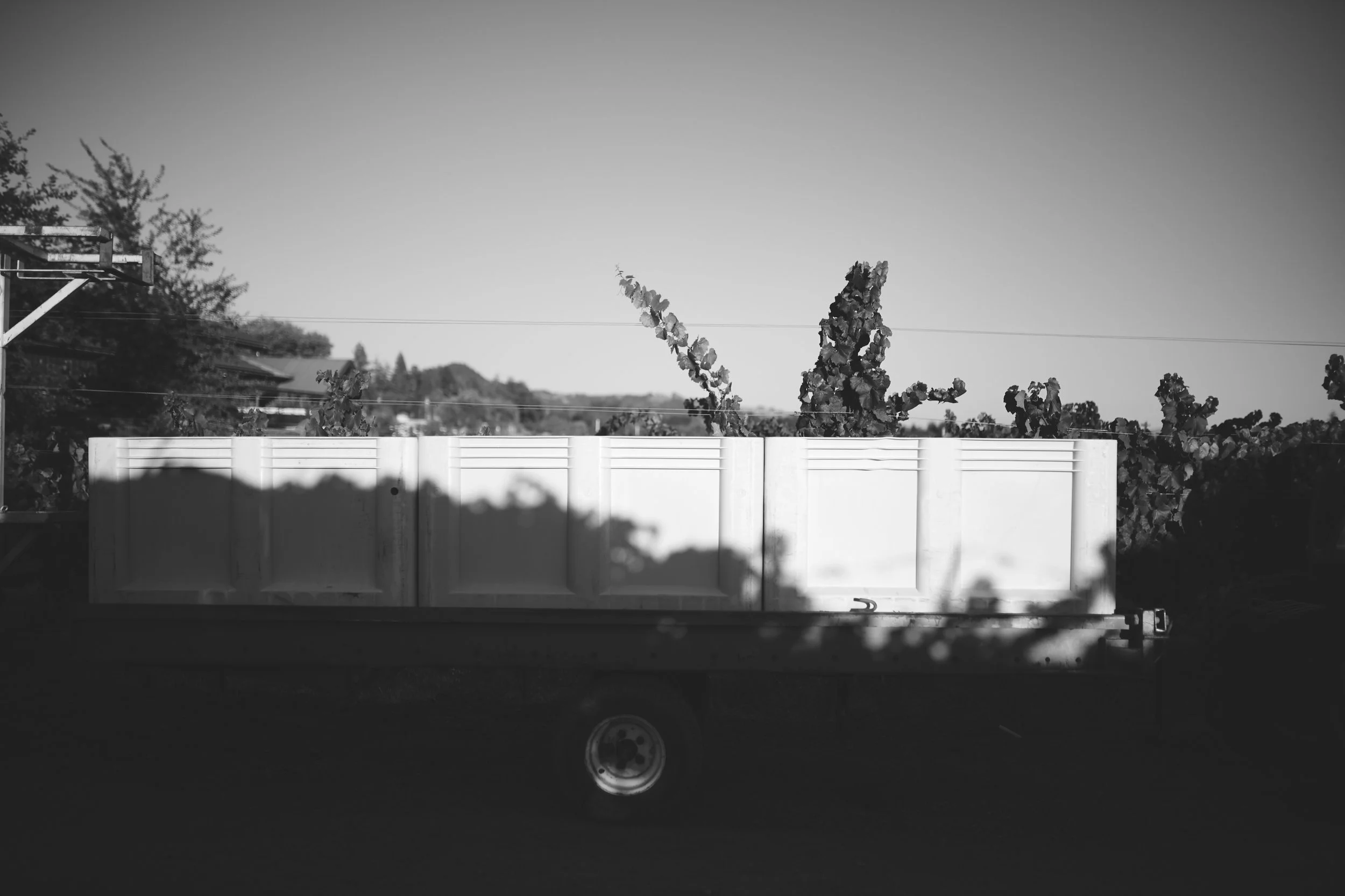 _05A0942.jpg