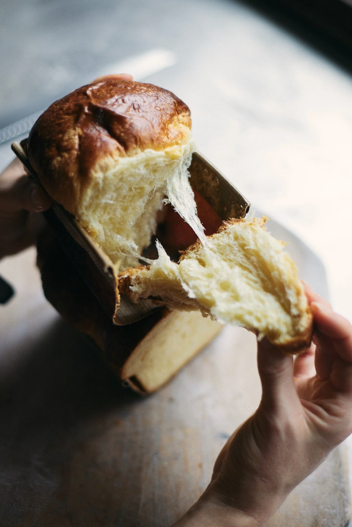 Screen Shot 2025-11-27 at 2.51.23 PM.jpeg