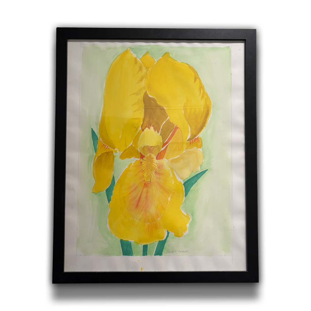 Yellow Iris.png