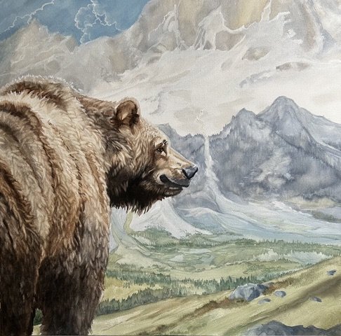 Grizzly 399, mountains in the distance and a valley with trees
