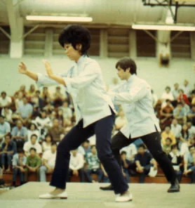 Taichi Demonstration