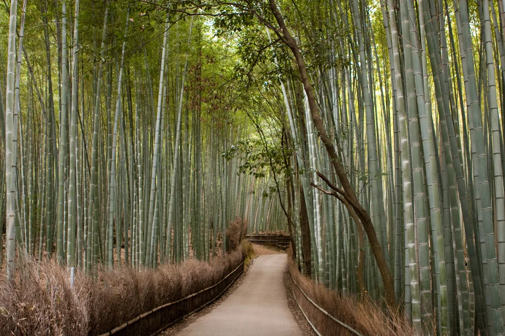 The writer's path is always full of surprises!