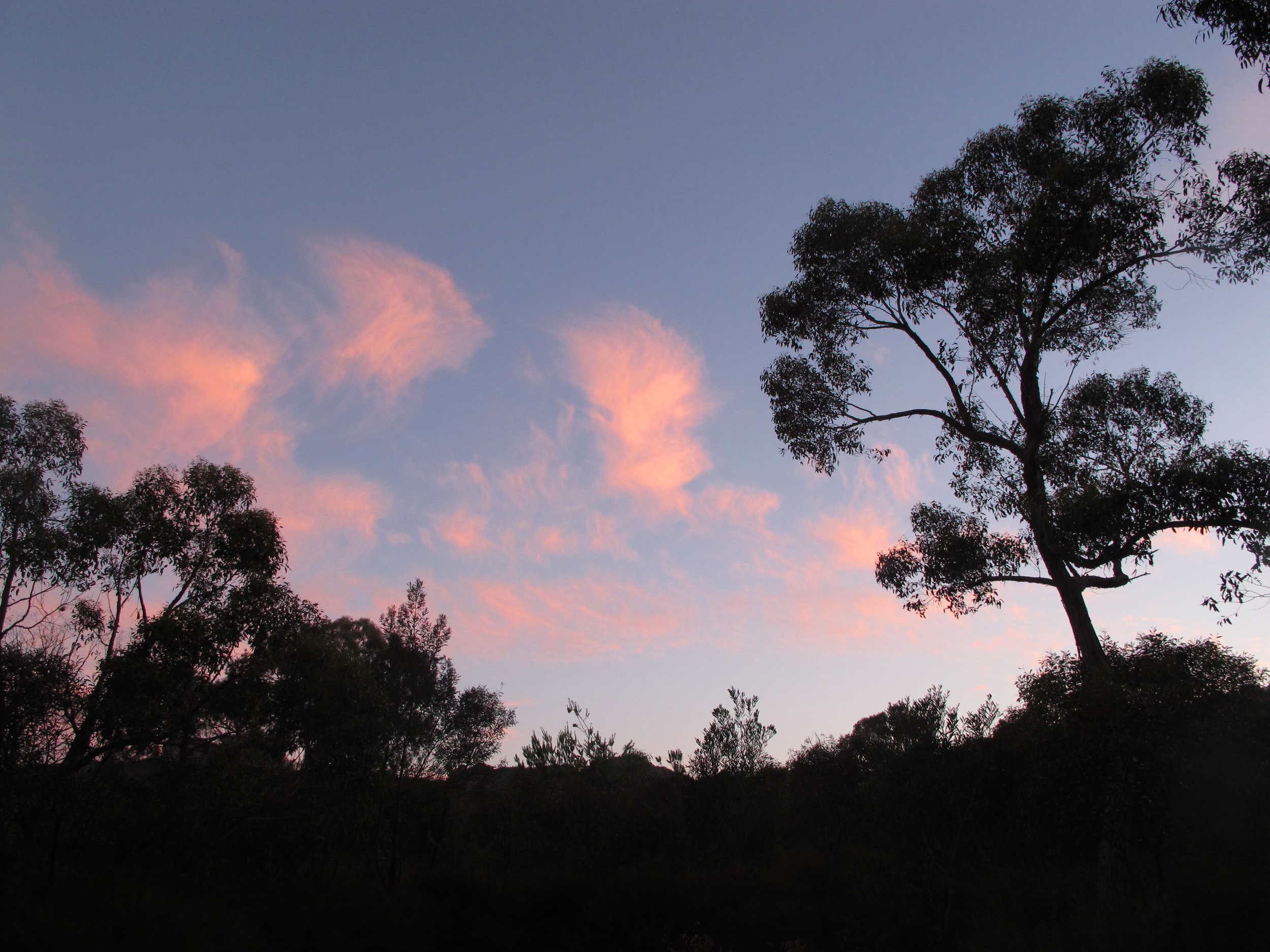 Grampians campsite sunset, summer 2012.
