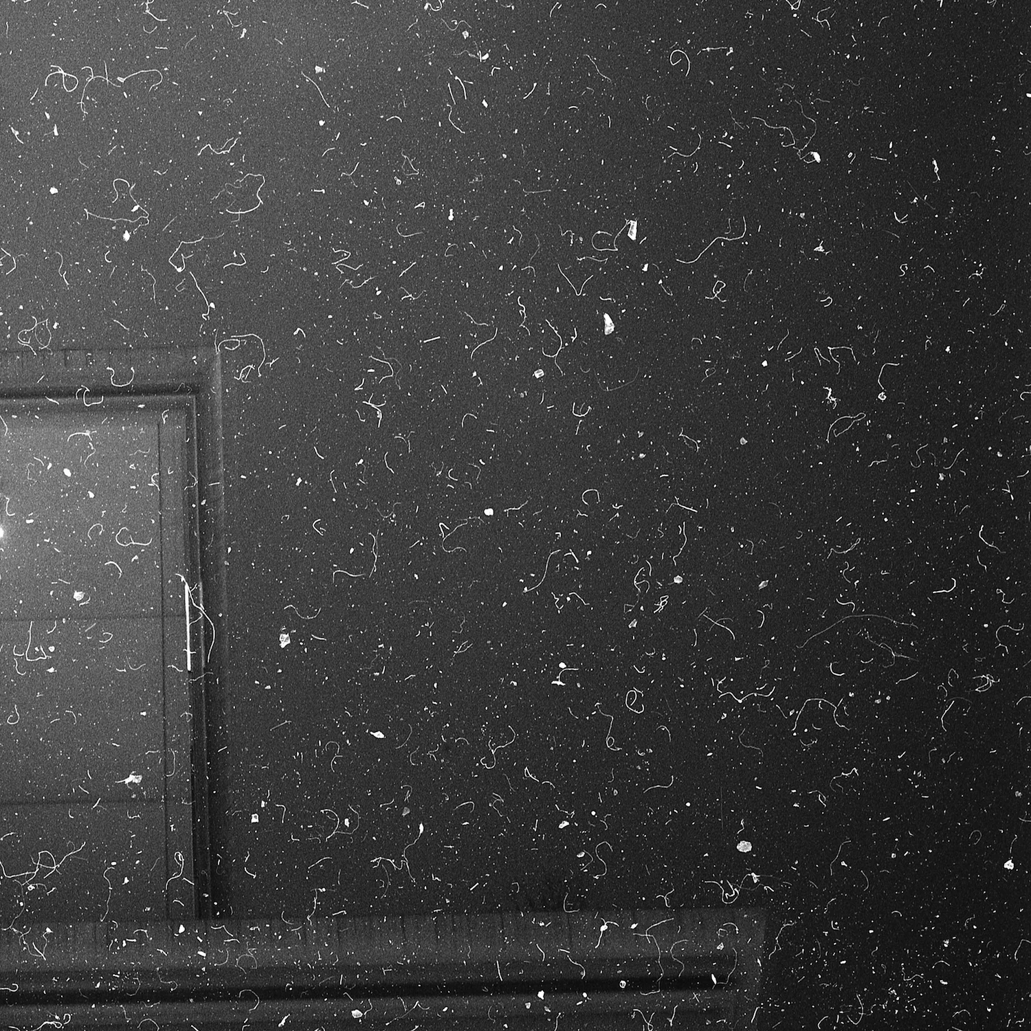 Cosmic Dust #Q4407740