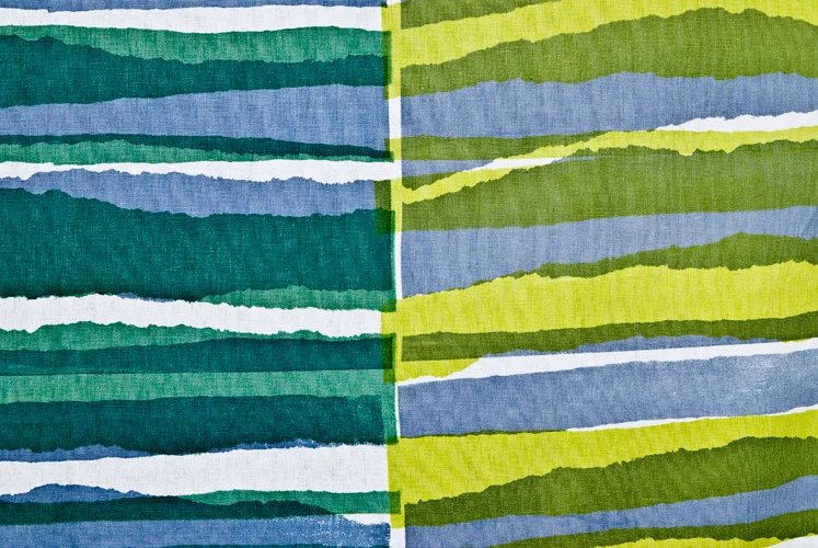 strips (closeup) 2009