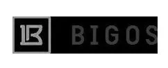 BIGOS.jpg