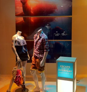 GapSummerWindows1.jpg