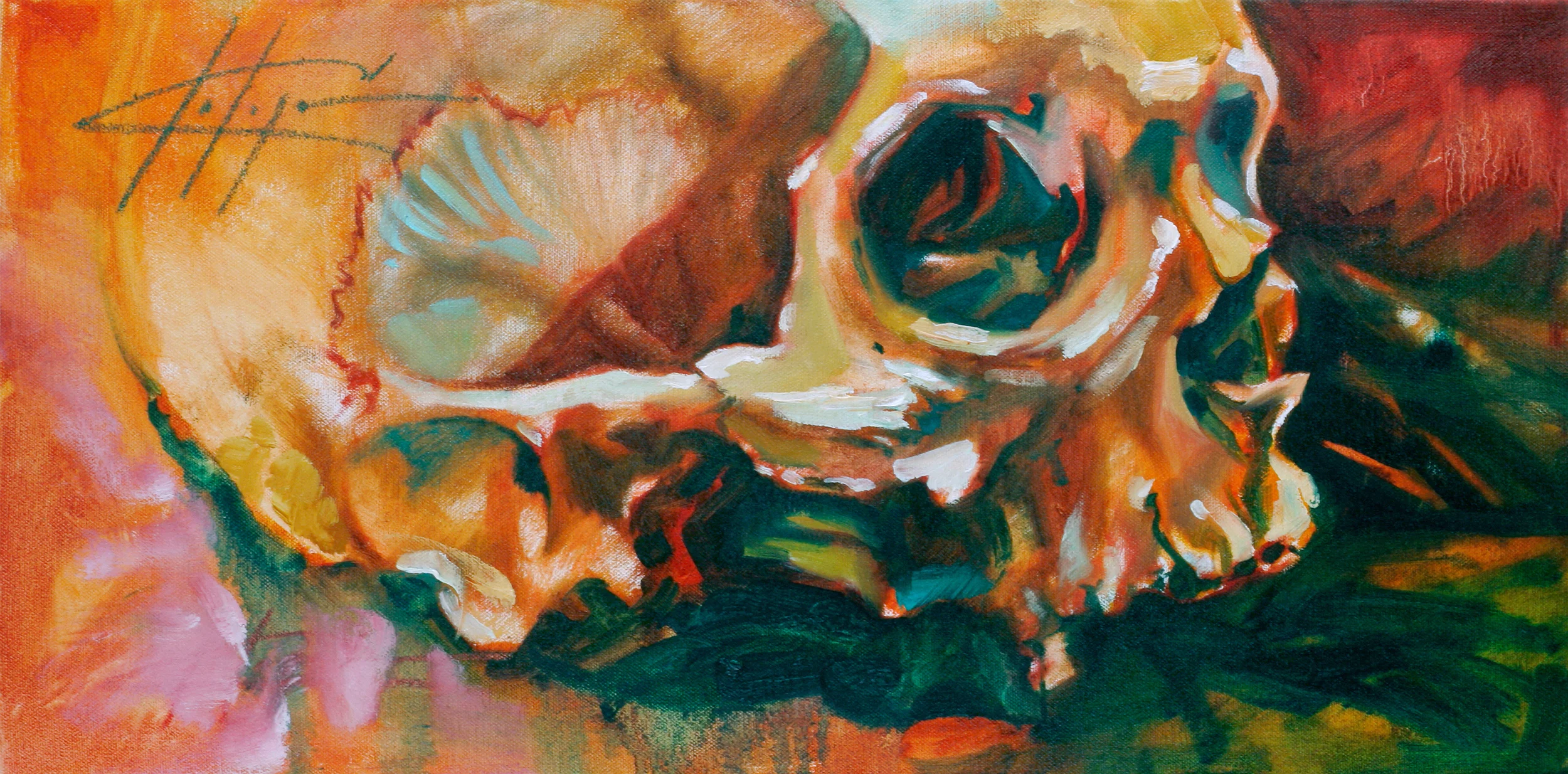 Horizontal Skull Study