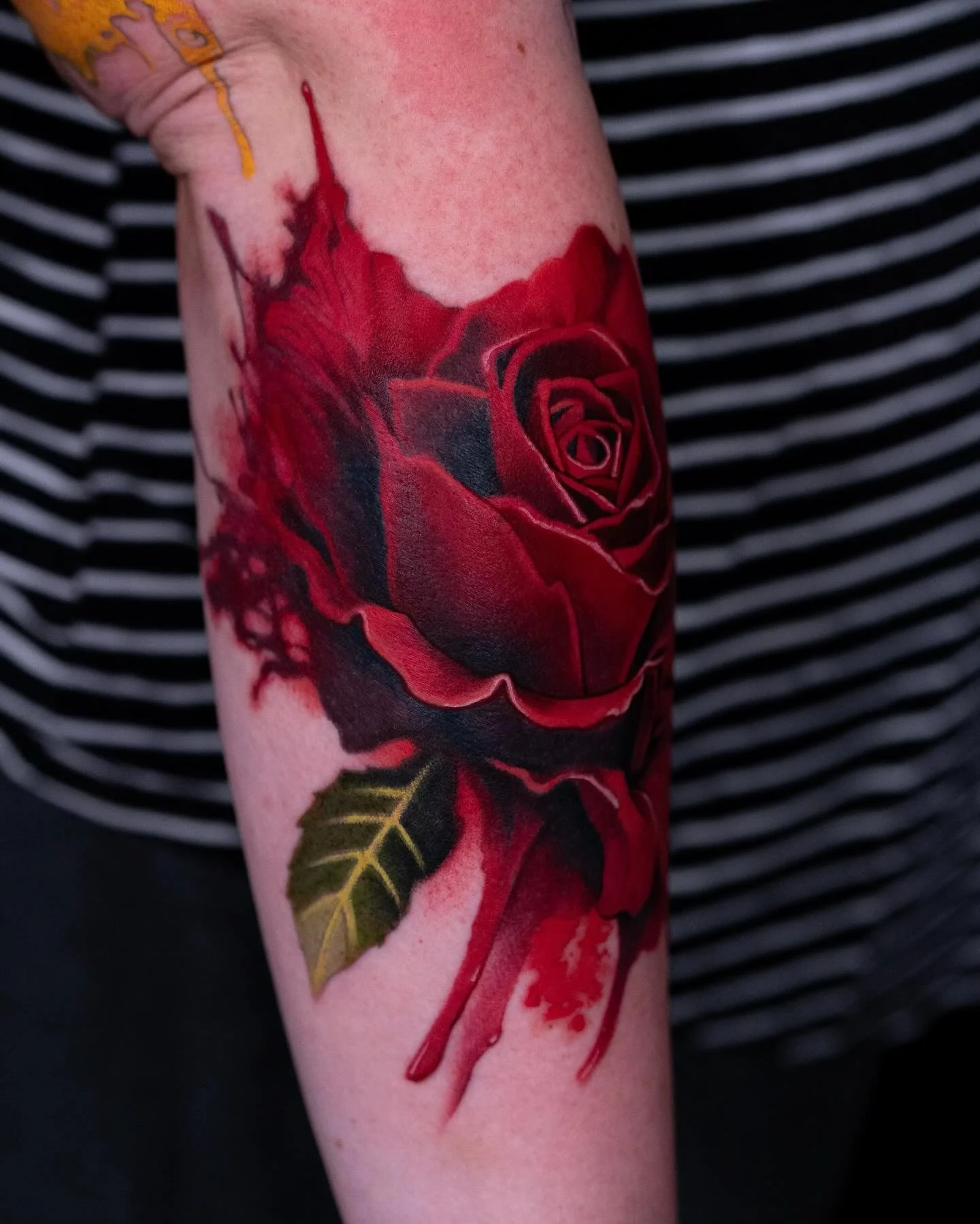 Loving this project! Thank you for the trust and making the journey to California 🙏🏼 

#fusionink #redrose #goldenmoongallery #sanmateo #sanfransisco #sanjose #bayarea #california #tattoo #realistictattoos #nickchaboya
