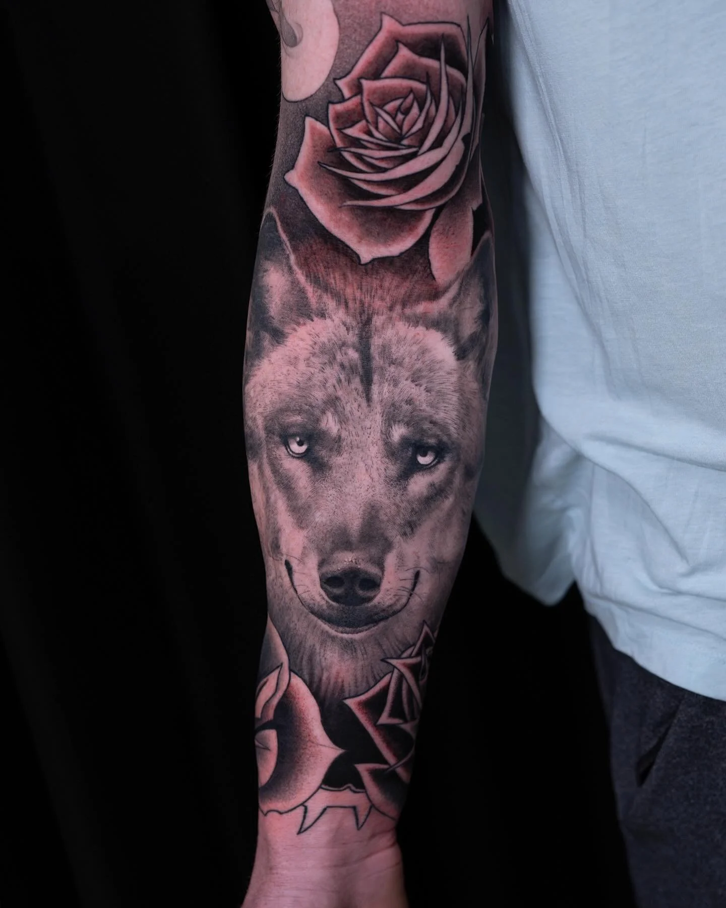 This sleeve is coming together!

#wolf #tattoo #realism #fusionink #nickchaboya #goldenmoongallery #sanmateo #sanfrancisco #sanjose #california #bayareatattooartist