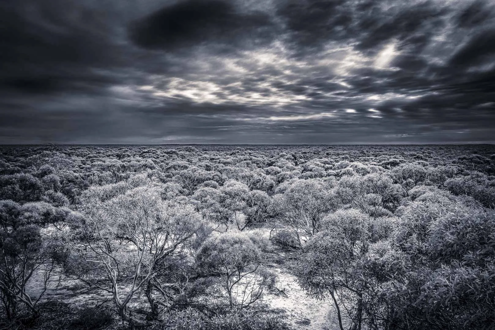 Rob Wagner - Remote Horizon