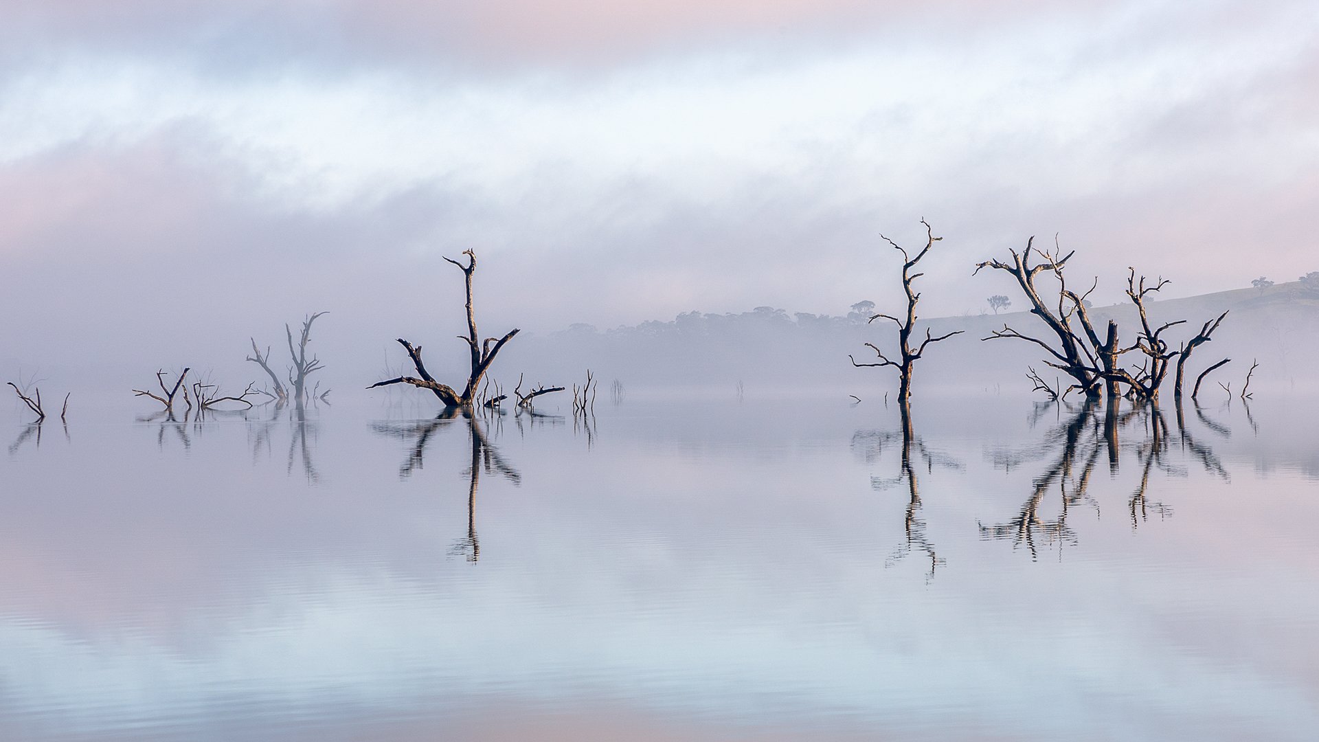 Foggy Morning-CD- Kerryn Buckley.jpg