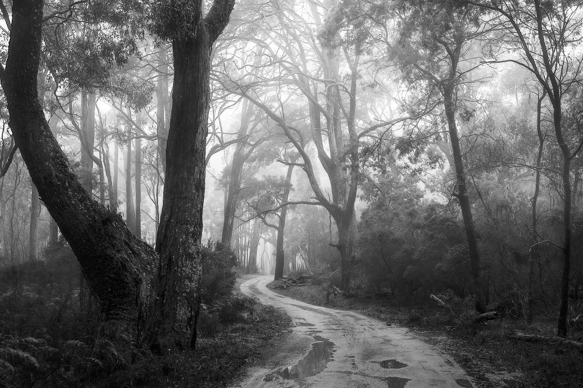 PHOTO CHAT - EASTERN INTERCLUB RESULTS