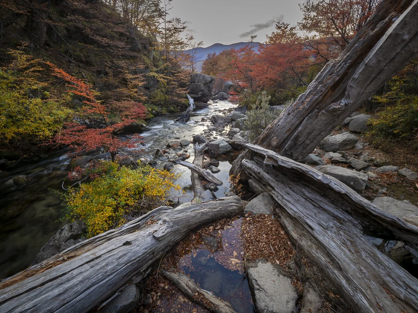 WORKSHOP: Travel Photography with Jackie Wilson