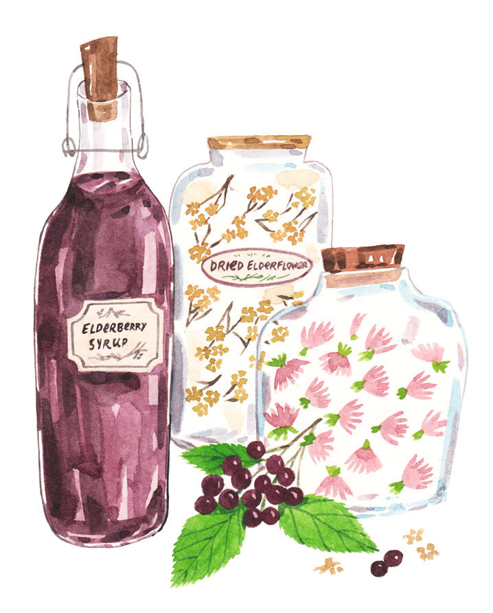 oh-mag-fall2020-justine-wong-illustration-elderberry-final-LORES.jpg