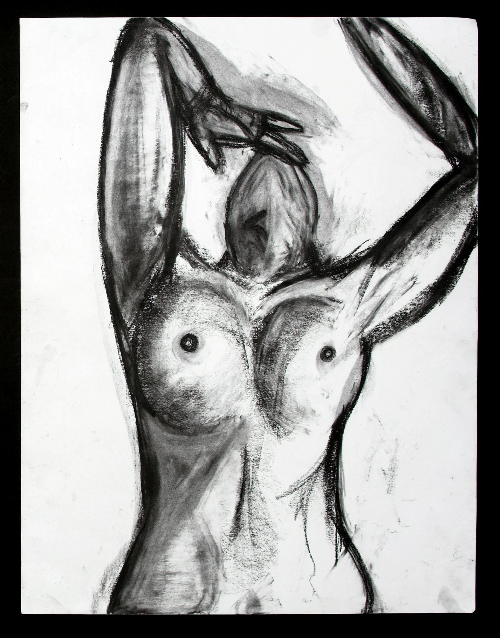 bw02.jpg