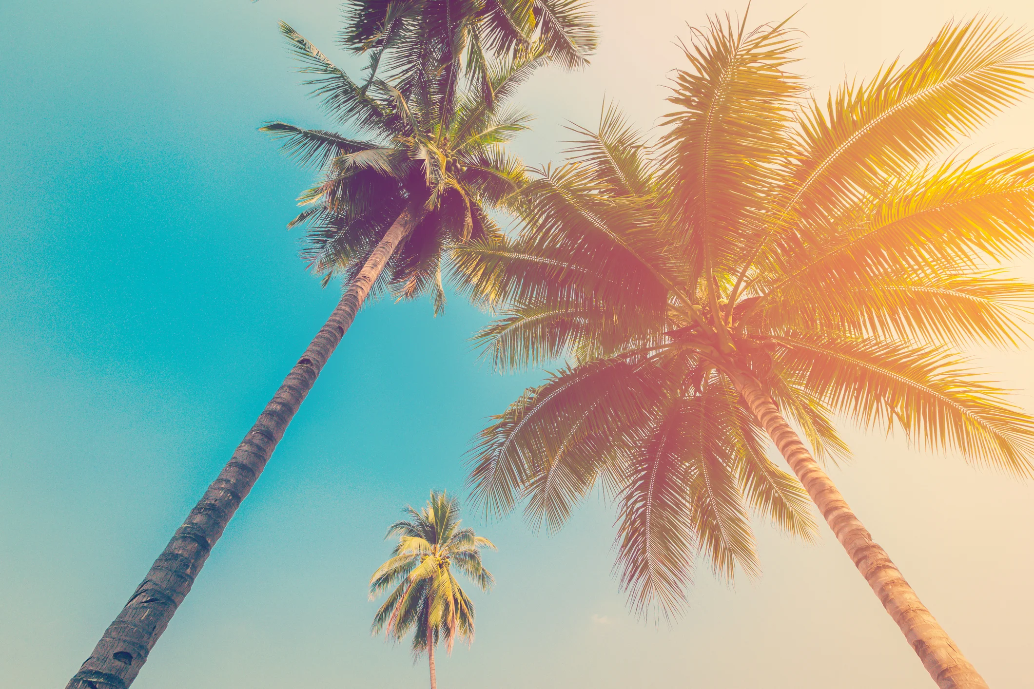 CT & Co: Los Angeles Agency