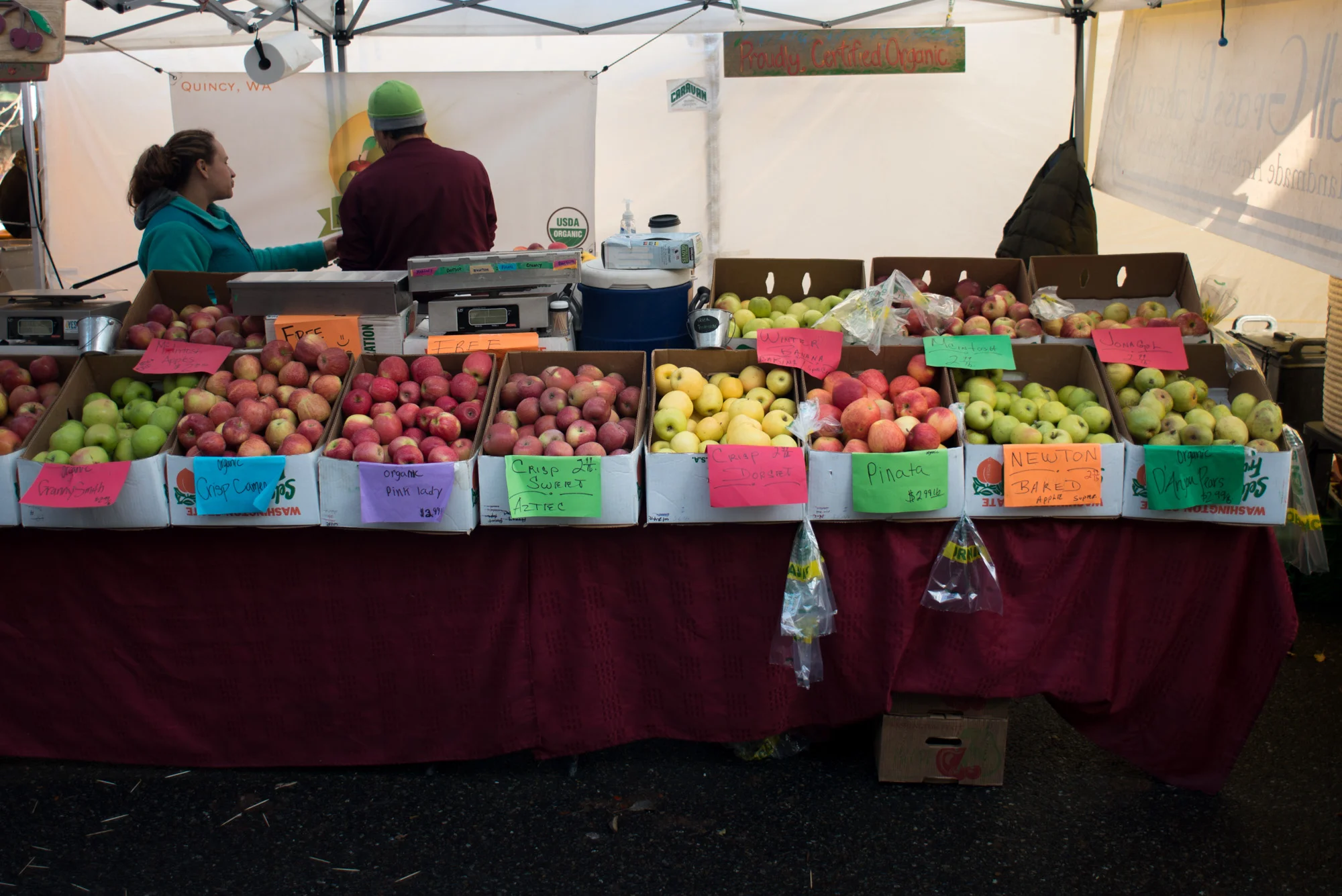 DSC_6552.jpg