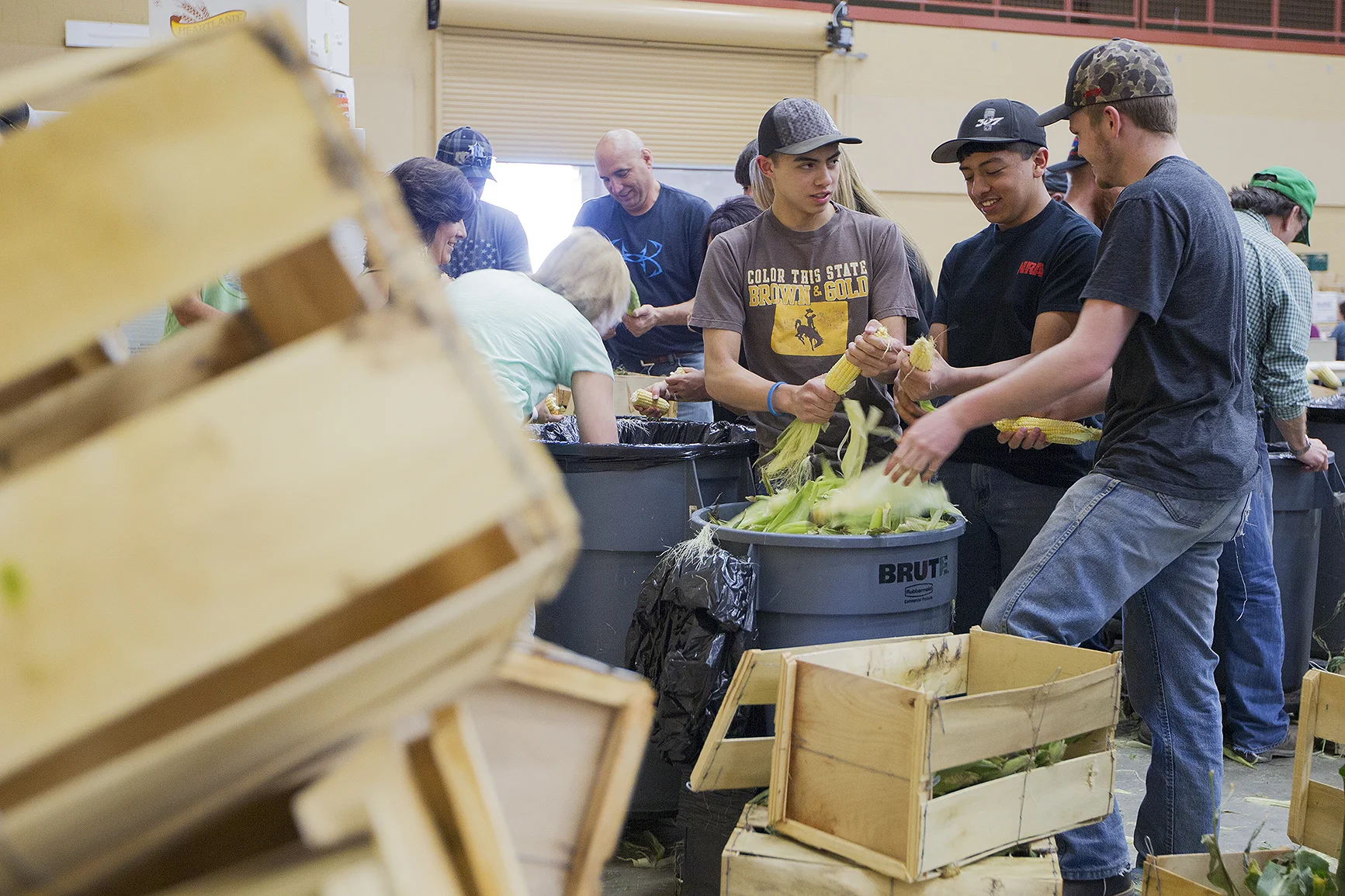 Logan Lampman, 15, from left, Luke Lampman, 18, and Josh Campbell , 17, help shuck corn Friday evening in preparation for the 33rd annual Society of Petroleum Engineers' crawfish boil at the Cam-plex Wyoming Center.