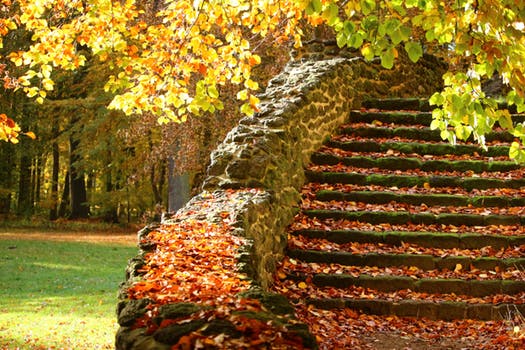  The 12-Steps