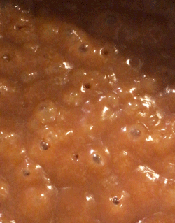caamel_2bis.gif