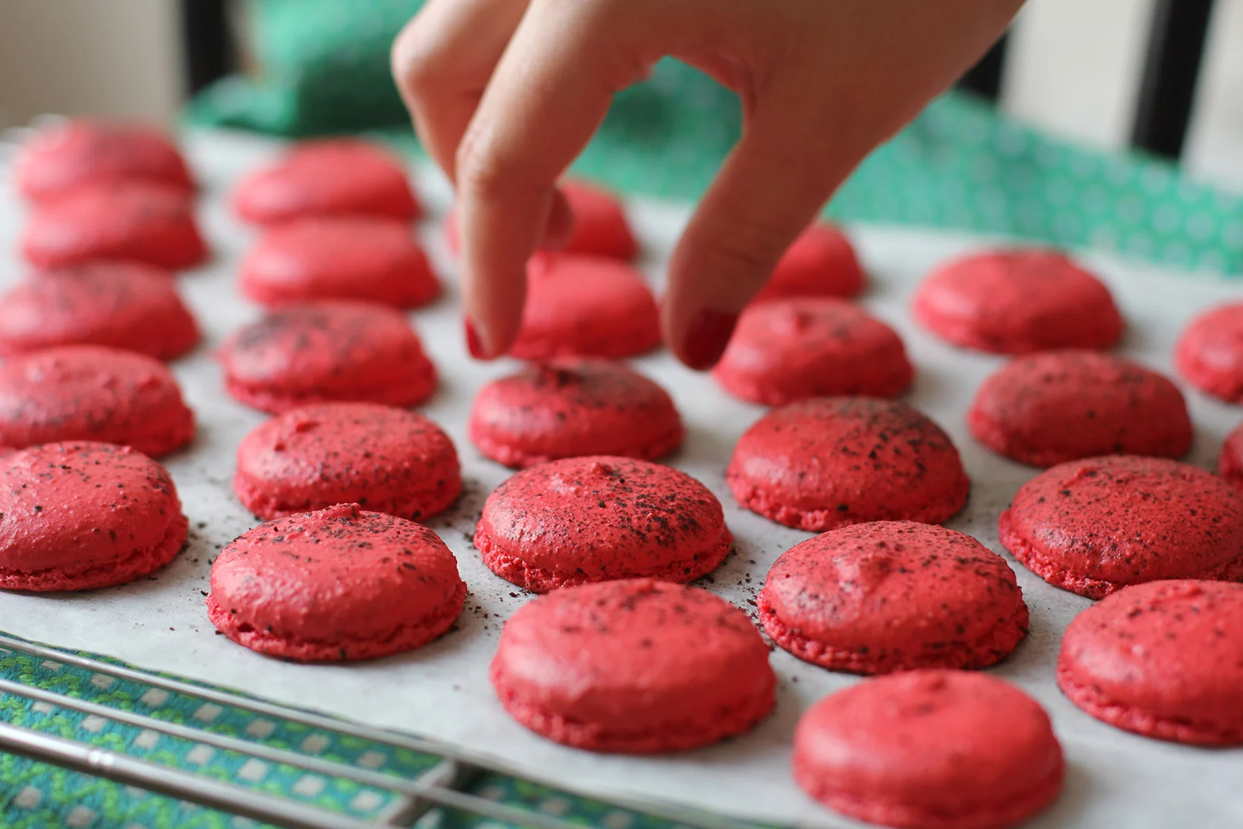 Macarons-choco-framboise_8240_OK-2.jpg