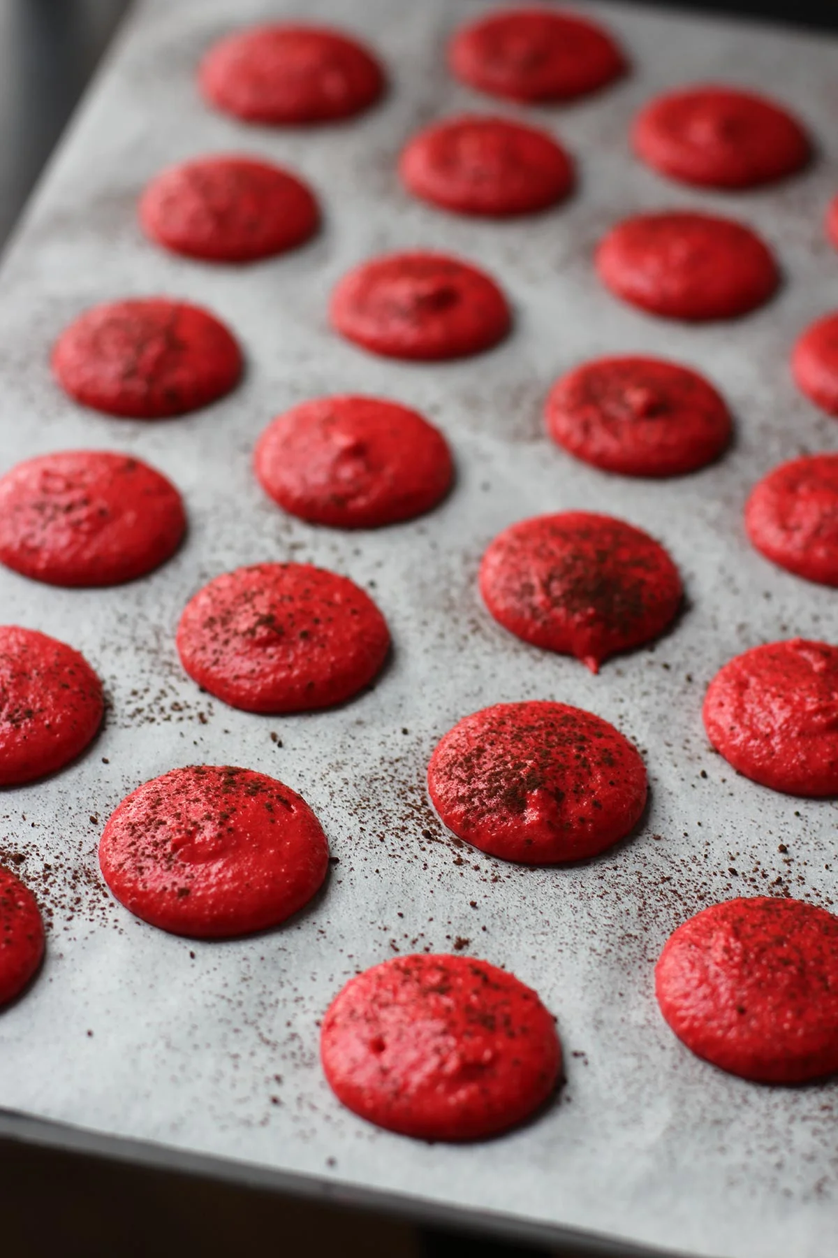 Macarons-choco-framboise_8235-3.jpg