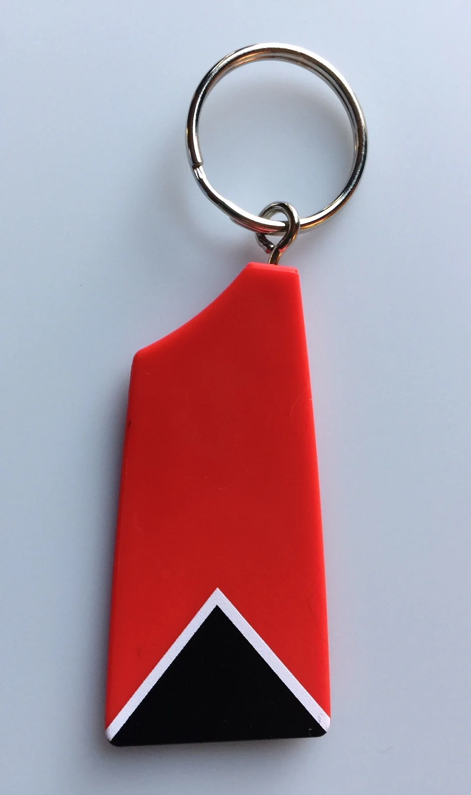 DavidsonKeychain.jpg