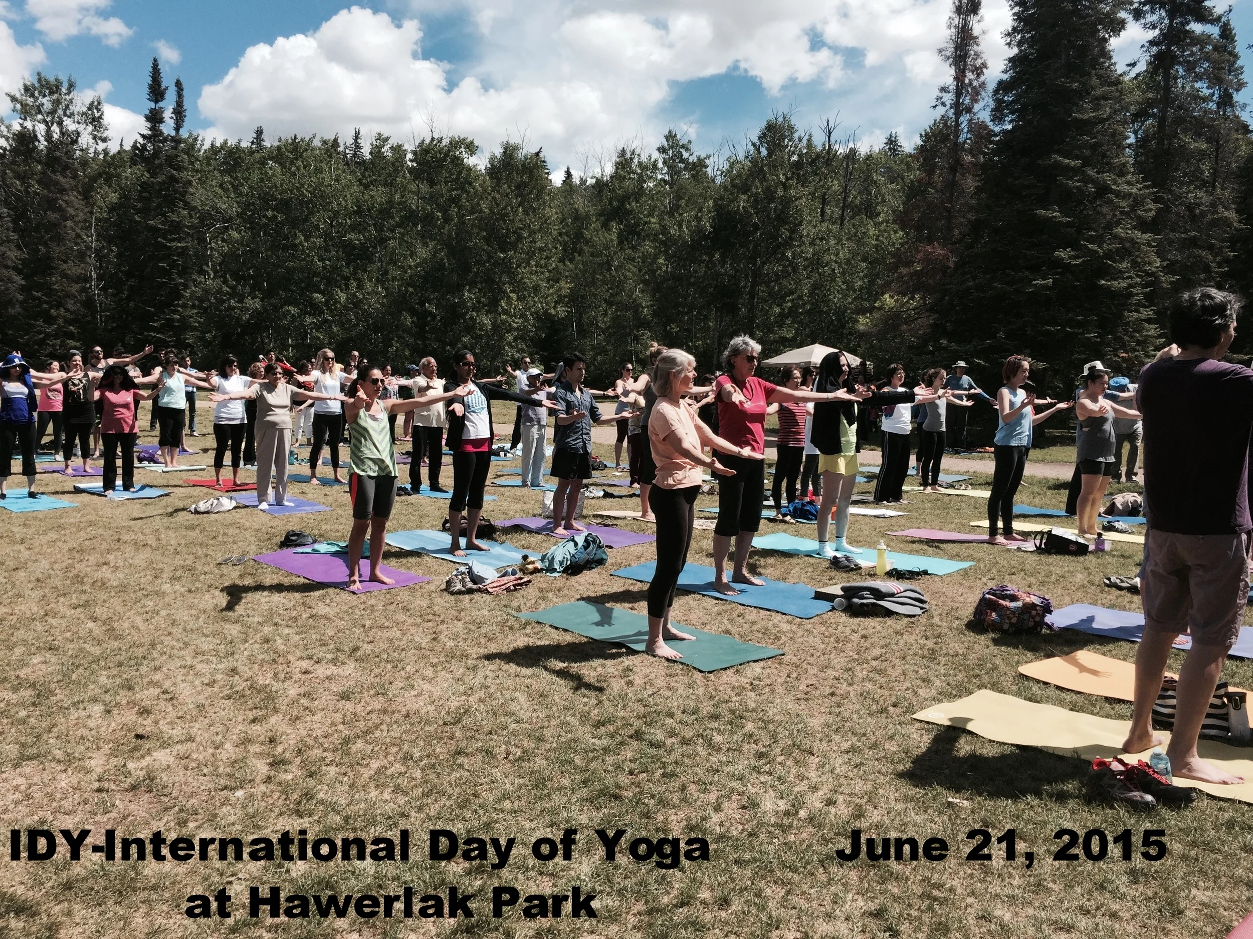 IDY 3.jpg