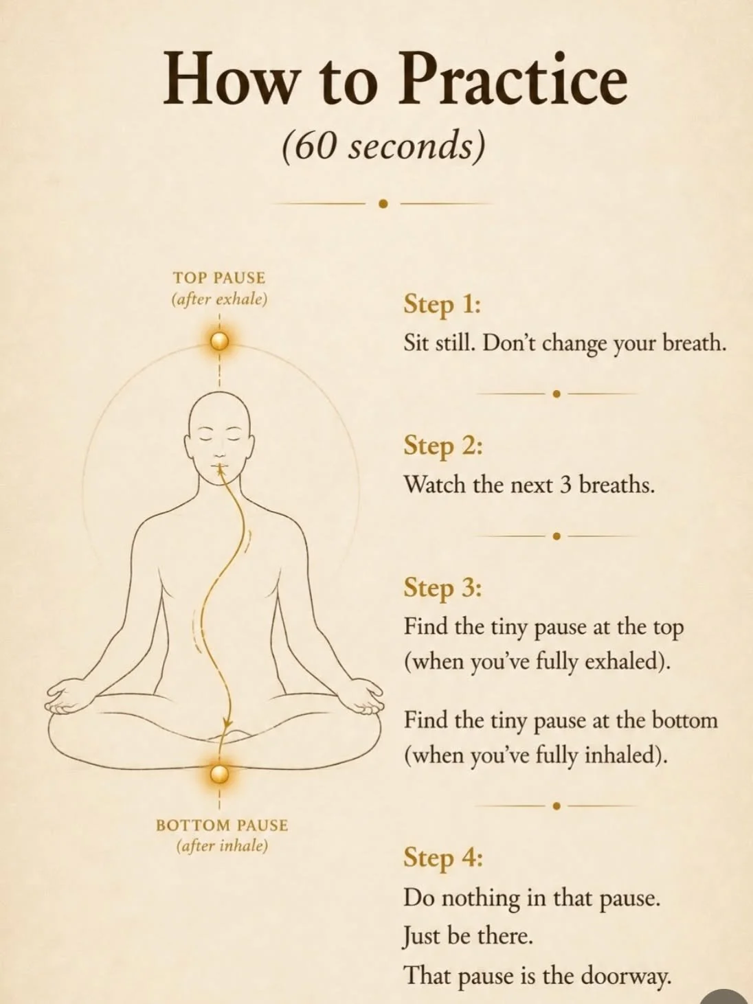 Shiva shows us the doorway to direct experience of Who Am I. 

Not a mantra. 
Not breath retention. 
Not concentration. 

Just noticing the two tiny pauses already hidden inside every breath you take. 

The moment where the exhale ends, and before th