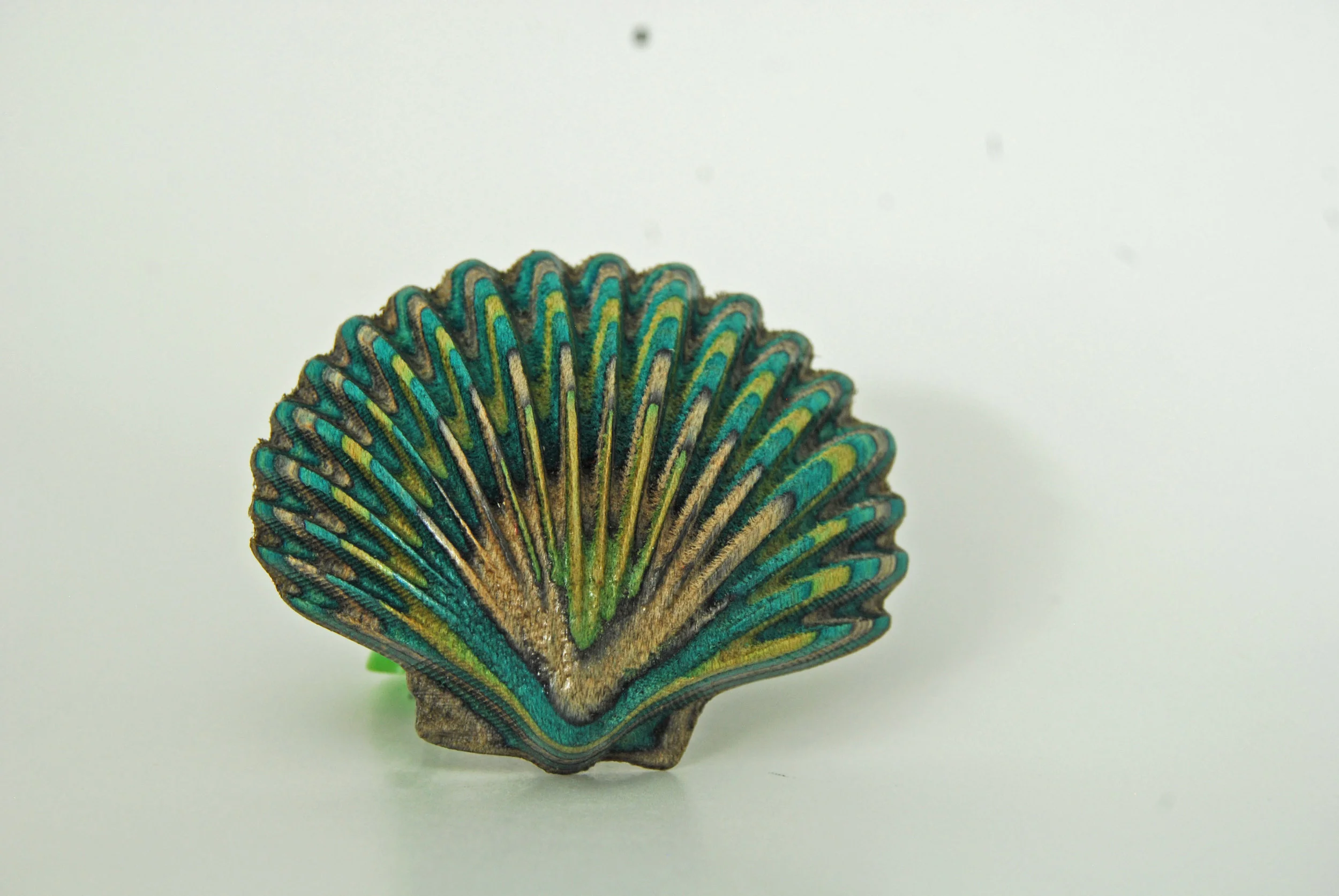 Shell Pull - 1.jpg