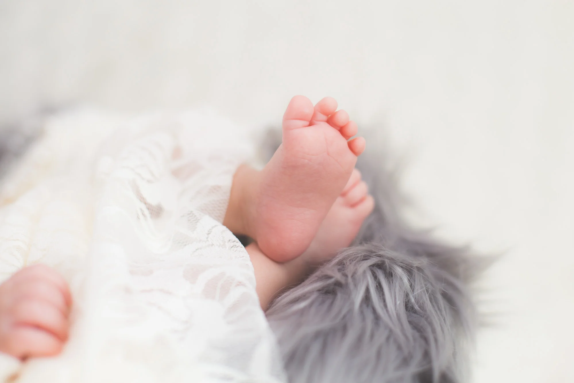 Aria-025.jpg