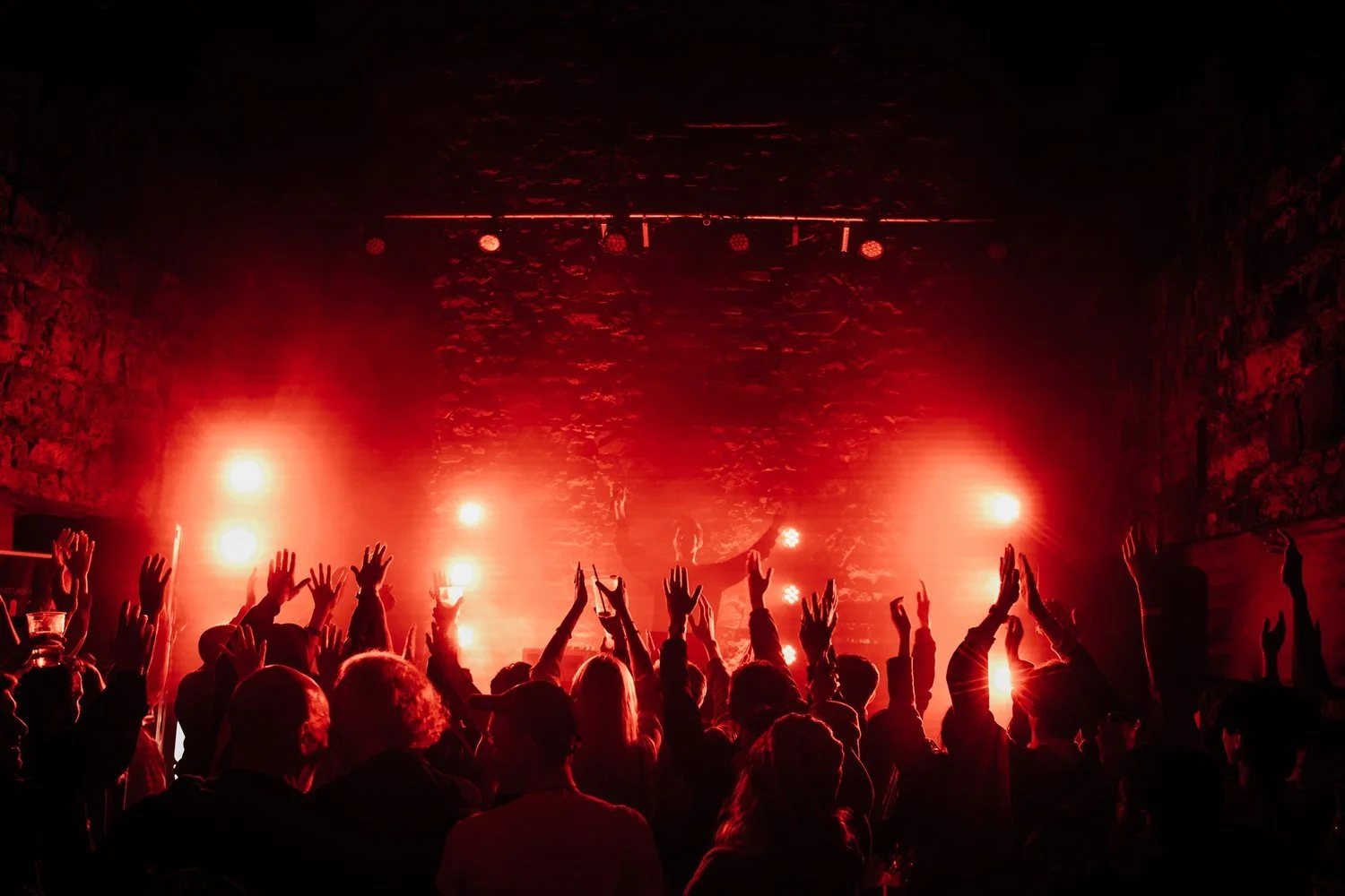 Wide Days Showcase Artists Summer Guide 