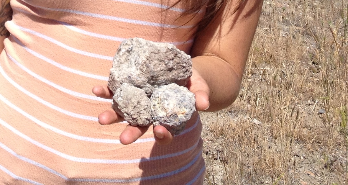 Thundereggs found in eastern Oregon