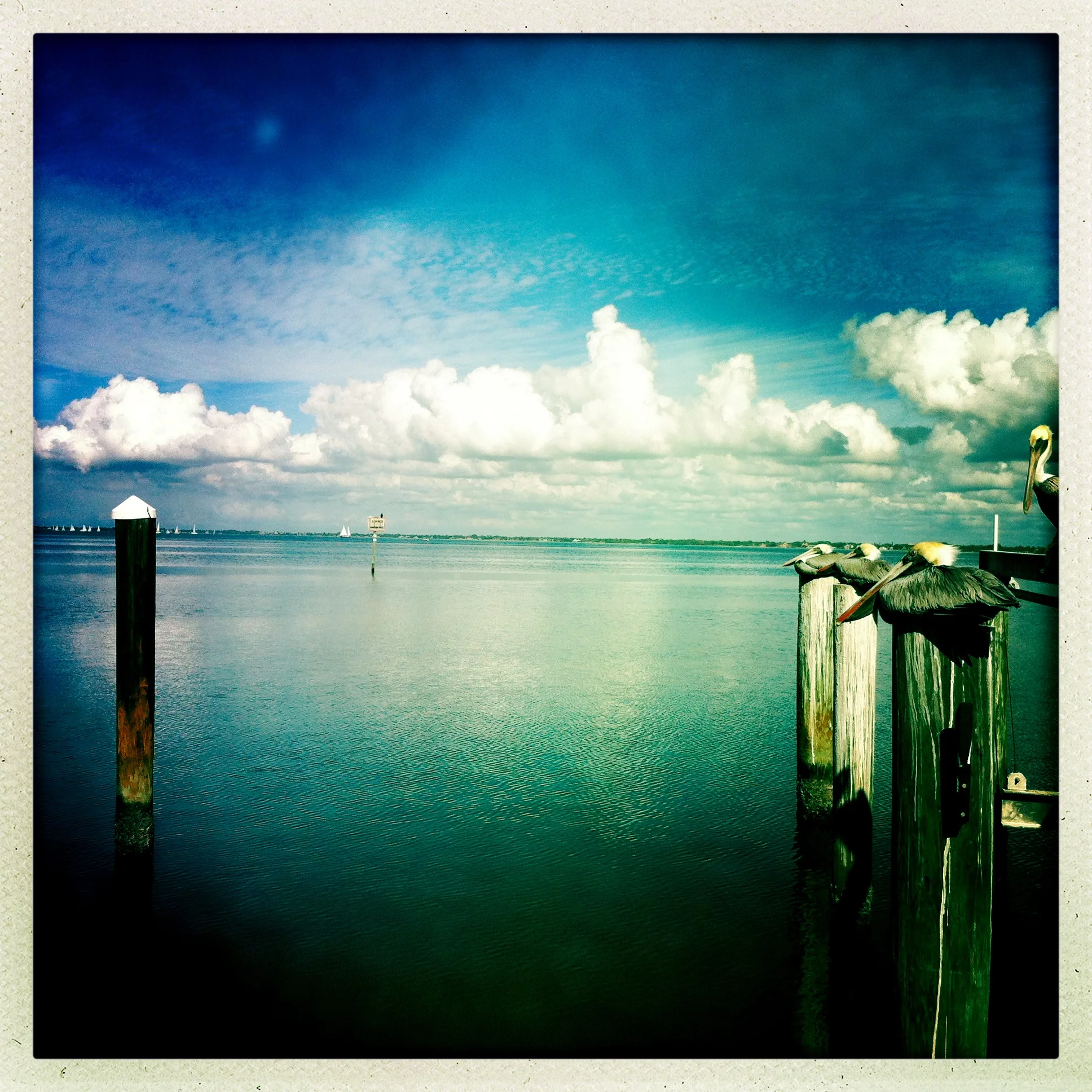 Sarasota Bay