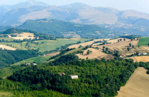Marche.jpg