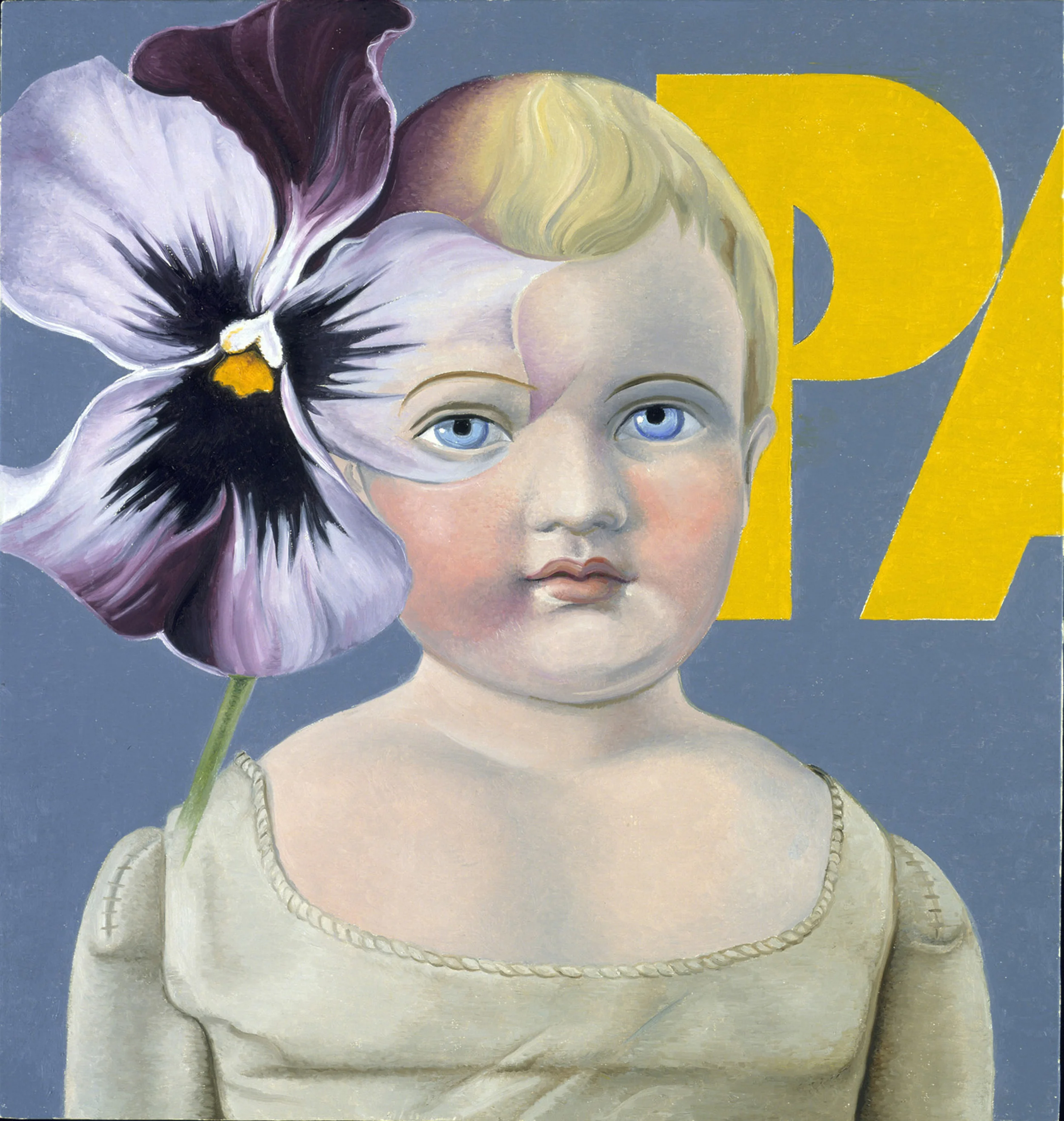 Pansy Boy