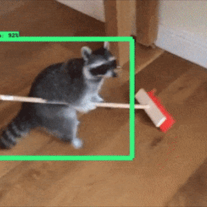 10.gif