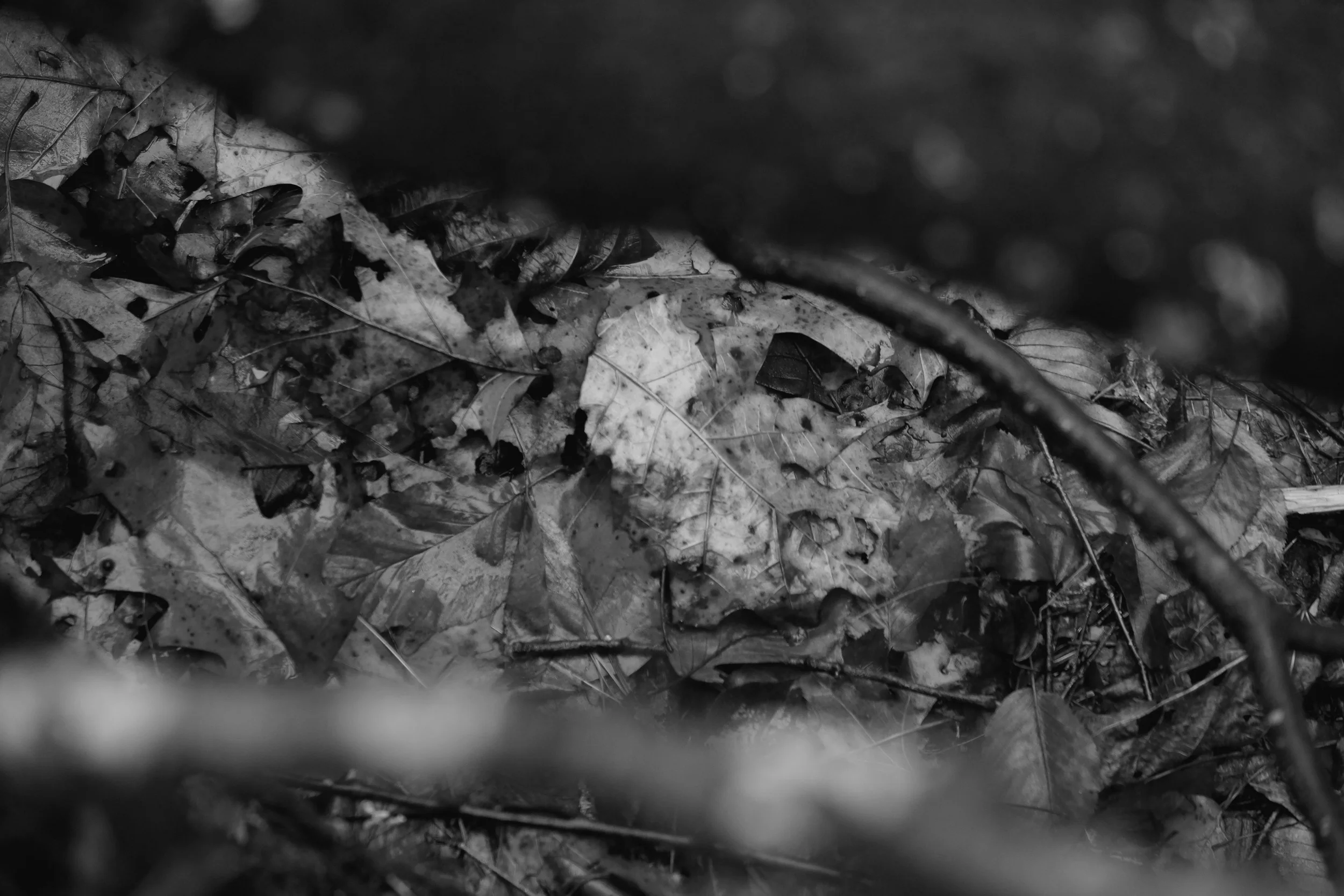 112915 (36 of 107).jpg