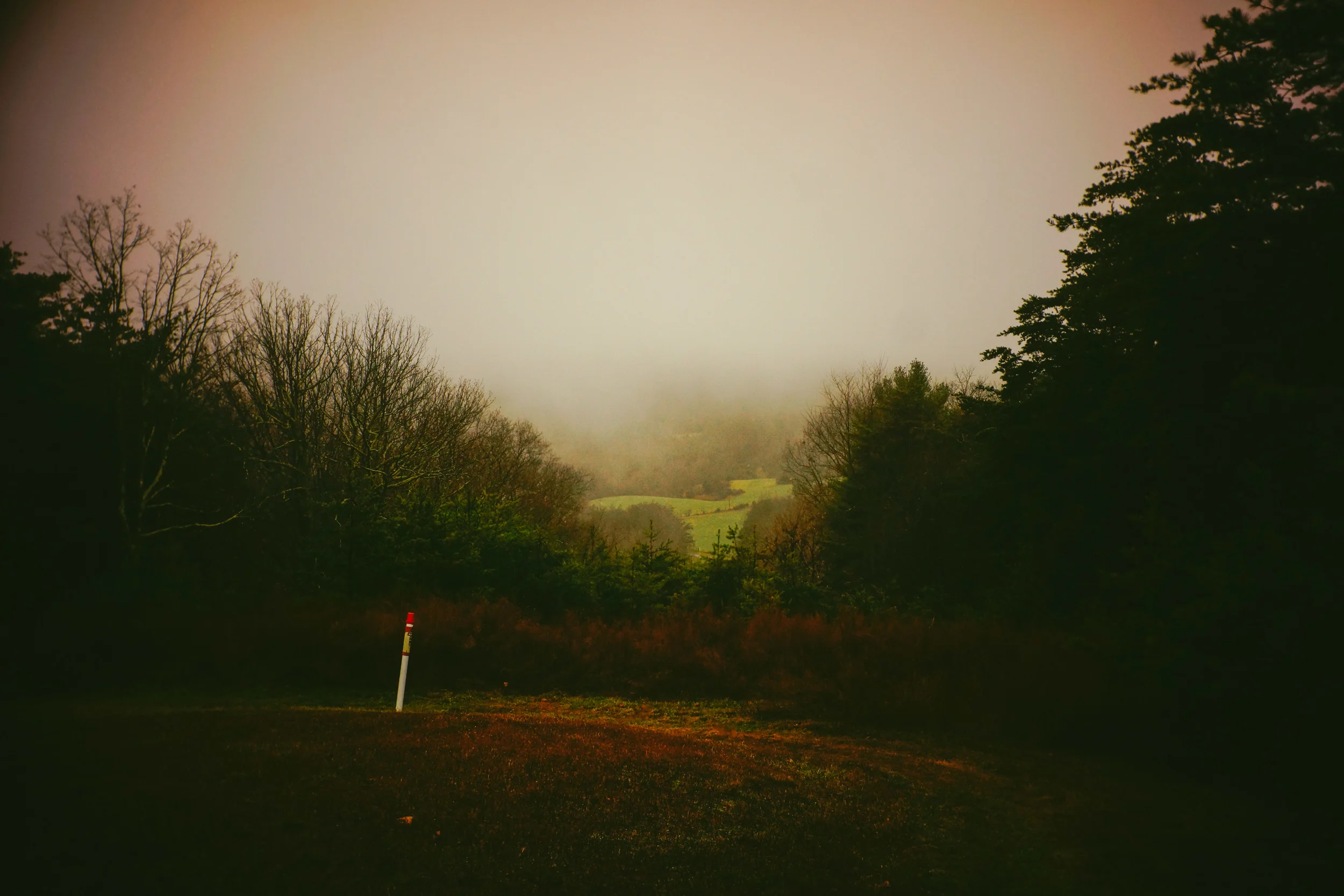 112915 (65 of 107).jpg