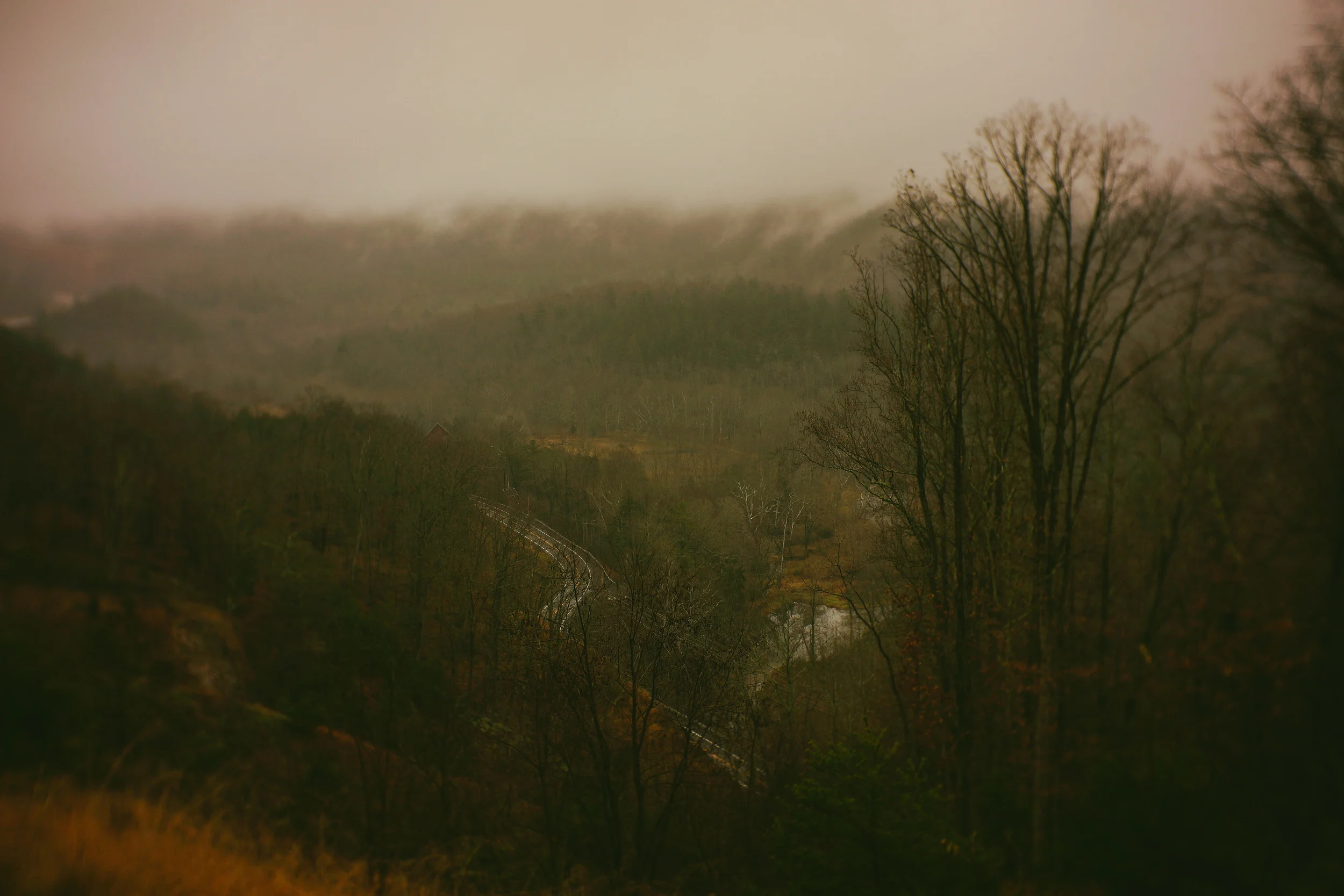112915 (101 of 107).jpg