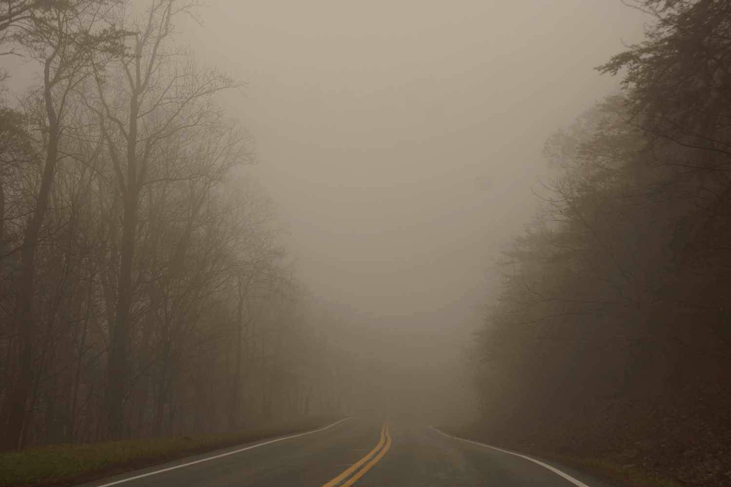 Progress website blog