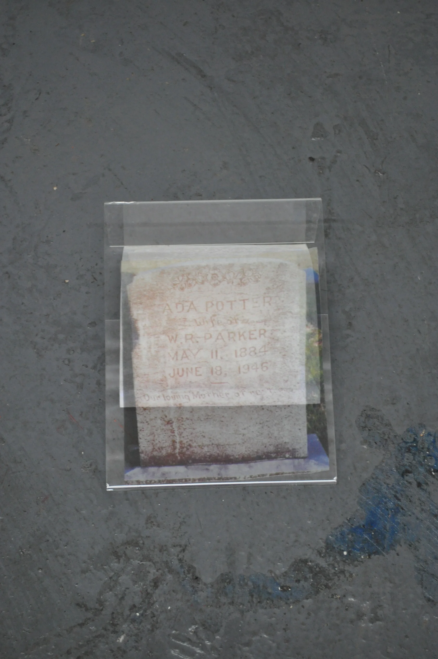 Ada's Grave , plexi display case with organza print and paper backing, 2014