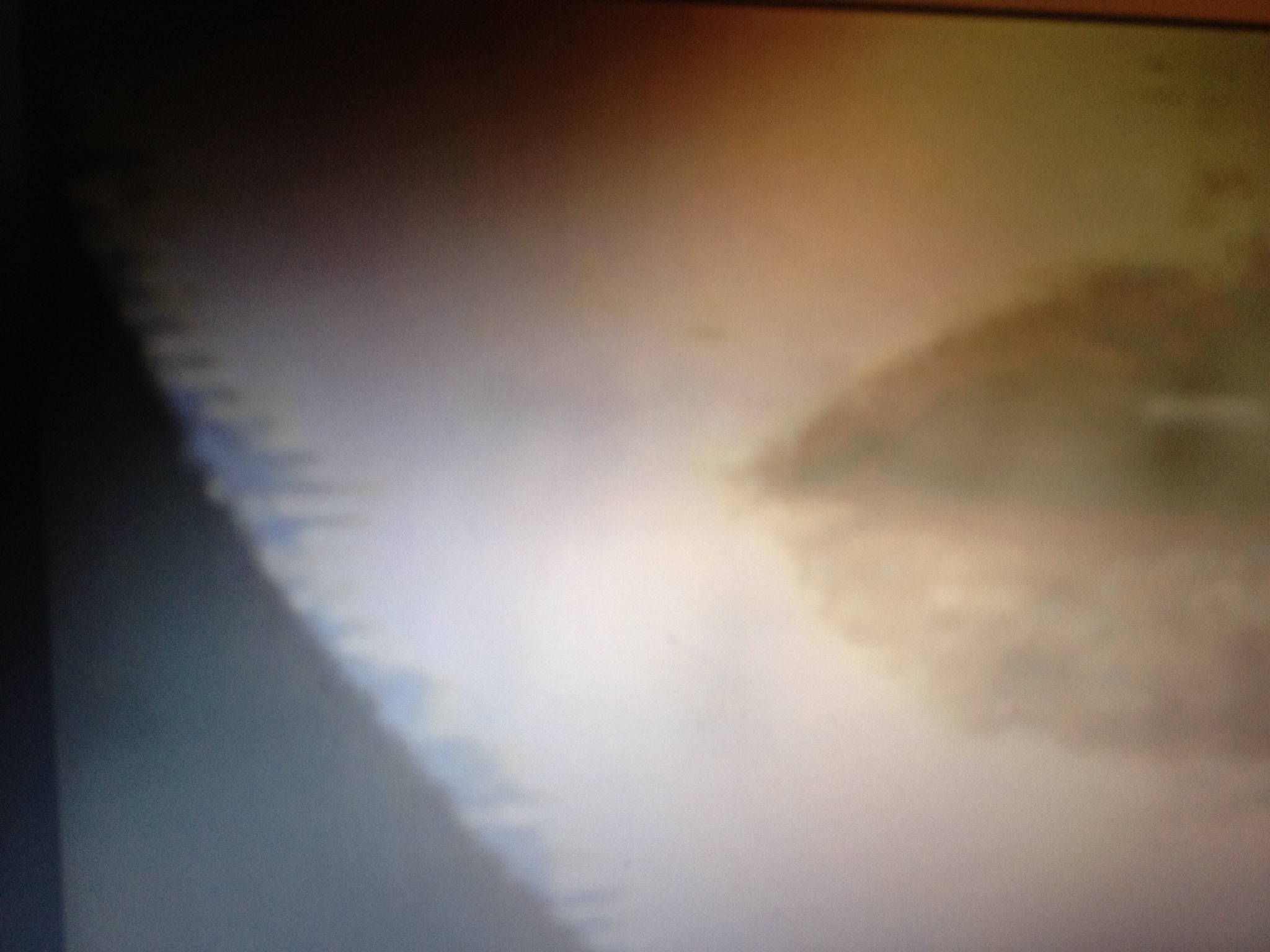   Ally 2, d igital Print, 2014 